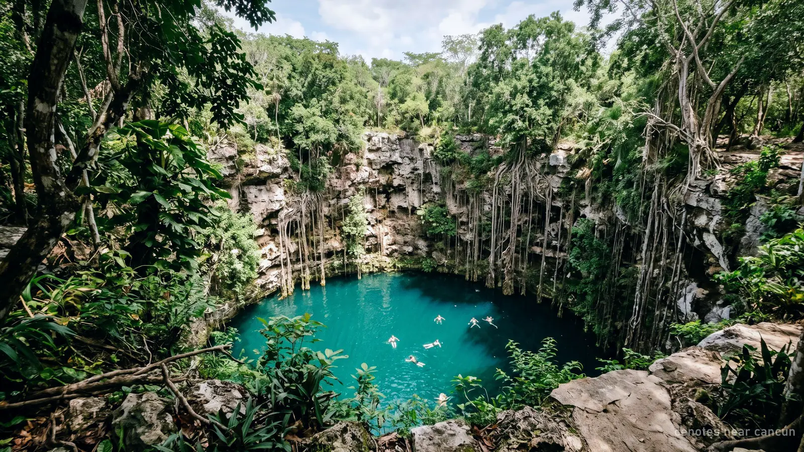 A deep open cenote in the jungle with turquoise water, hanging roots and a few swimmers far below